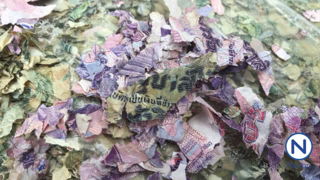ตะลึง! พบธนบัตรจำนวนมากถูกทำลายทิ้งกองขยะ