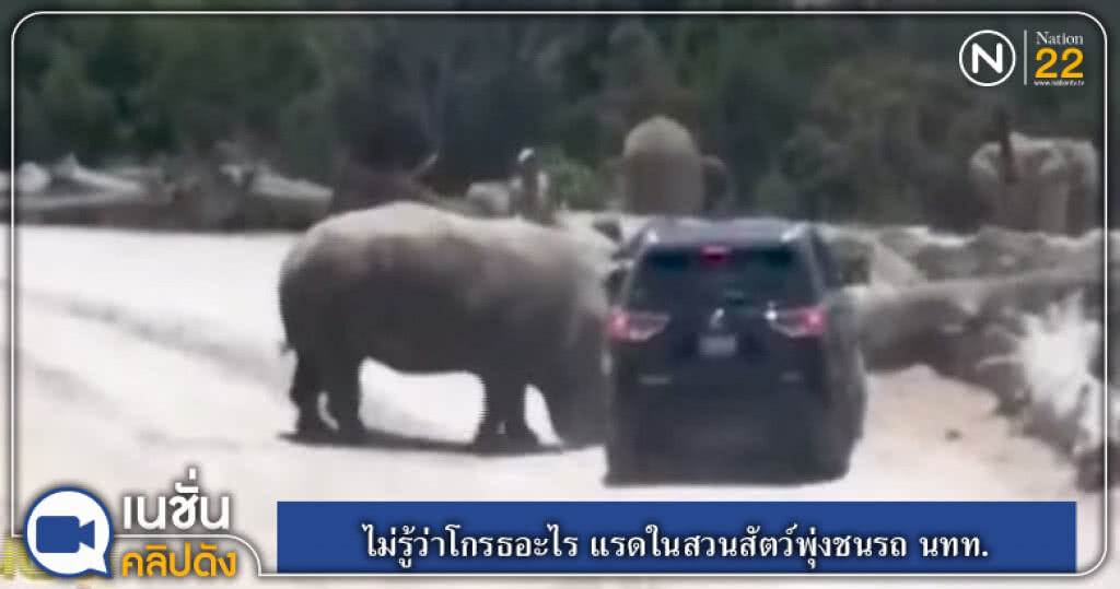 (คลิปข่าว) ไม่รู้ว่าโกรธอะไร แรดในสวนสัตว์พุ่งชนรถ นทท. (คลิปข่าว) ไม่รู้ว่าโกรธอะไร แรดในสวนสัตว์พุ่งชนรถ นทท.