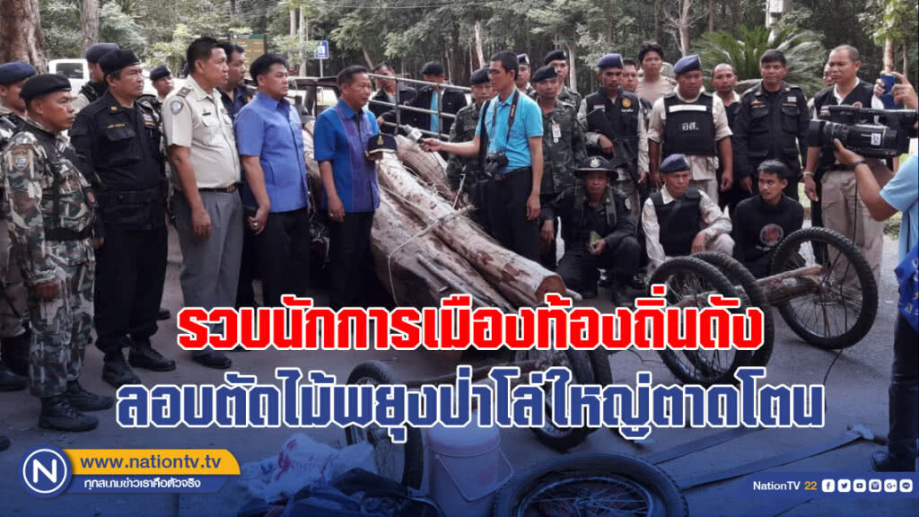 รวบนักการเมืองท้องถิ่นดัง ลอบตัดไม้พยุงป่าโล่ใหญ่ตาดโตน