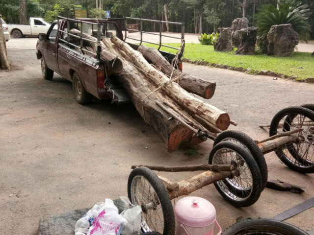รวบนักการเมืองท้องถิ่นดัง ลอบตัดไม้พยุงป่าโล่ใหญ่ตาดโตน