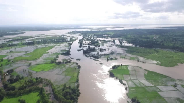 ปิ๊งไอเดีย! ใช้นาข้าว รับน้ำหนองหารก่อนระบาย