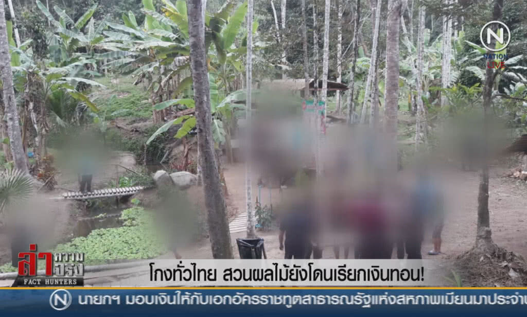(คลิปข่าว) โกงทั่วไทย สวนผลไม้ยังโดนเรียกเงินทอน!