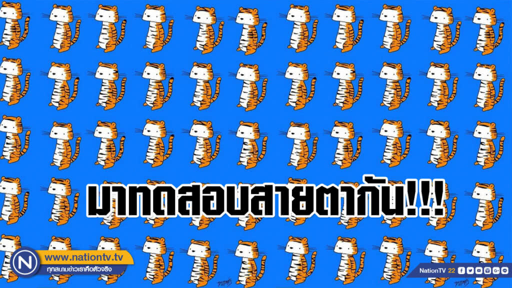 มาทดสอบสายตากันอีก! มองหาเสือตัวที่ไม่ใช่คู่แฝดจากทั้งหมด 25 ตัว
