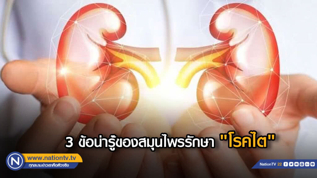3 ข้อน่ารู้ของสมุนไพรรักษา "โรคไต"