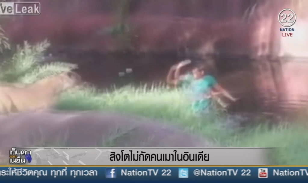 (คลิปข่าว) สิงโตไม่กัดคนเมาในอินเดีย (คลิปข่าว) สิงโตไม่กัดคนเมาในอินเดีย