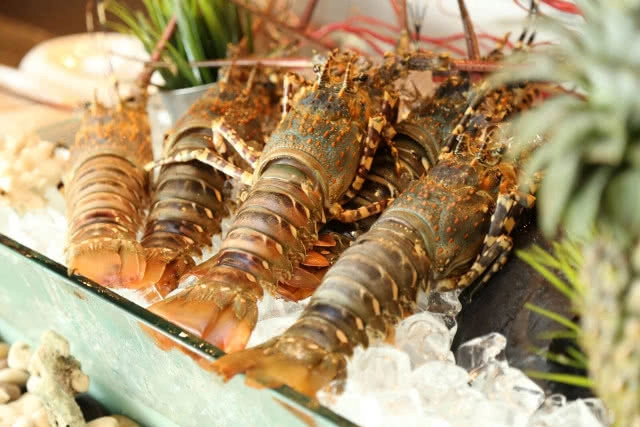 U CAN EAT MEET กับปูน : "ภูเก็ตล็อบสเตอร์" วัตถุดิบชั้นเยี่ยมจากทะเลไทย