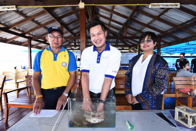 กองทุนอนุรักษ์พลังงานฯ หนุนติดตั้งโซลาร์เซลล์เลี้ยงปูไข่