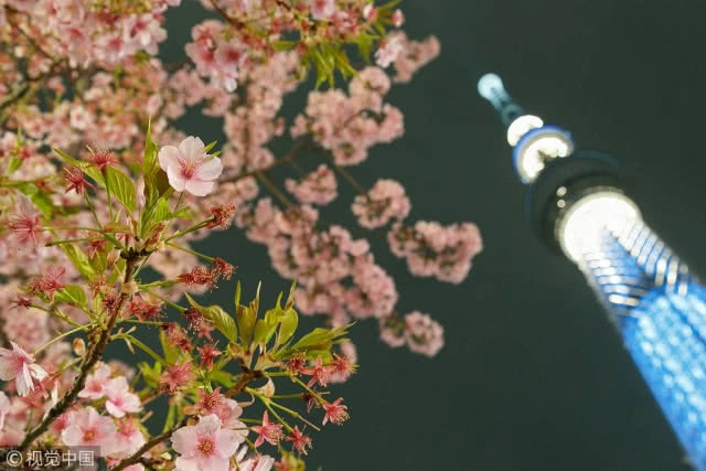 10 อันดับปลายทางท่องเที่ยวยอดนิยมชาวจีน ไทยติดโผถึง 3 อันดับ