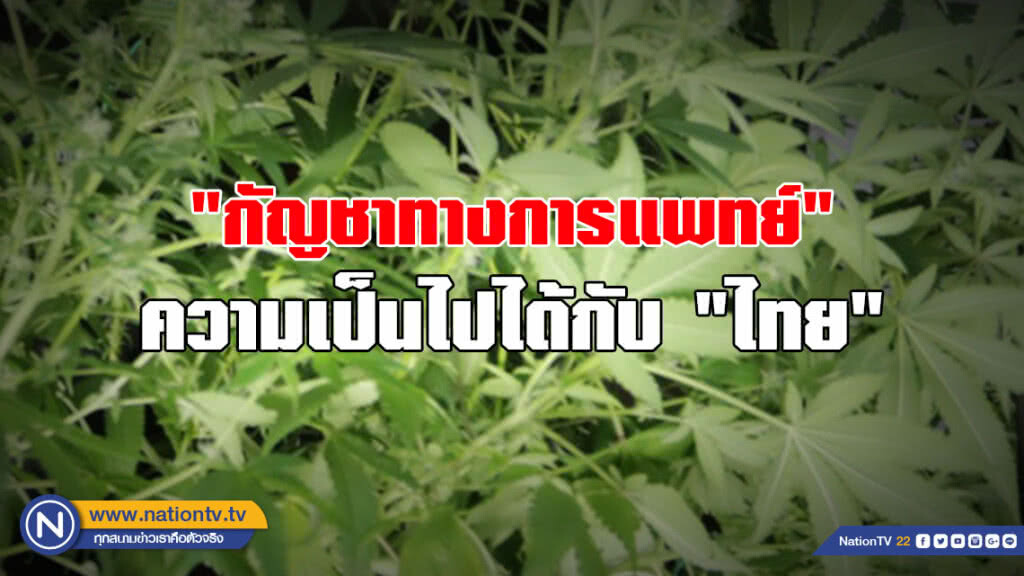 "กัญชาทางการแพทย์"  ความเป็นไปได้กับ "ไทย"