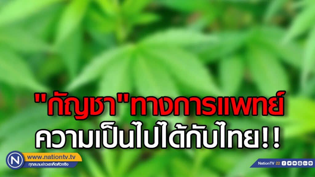 "กัญชา"ทางการแพทย์ความเป็นไปได้กับไทย!! "กัญชา"ทางการแพทย์ความเป็นไปได้กับไทย!!