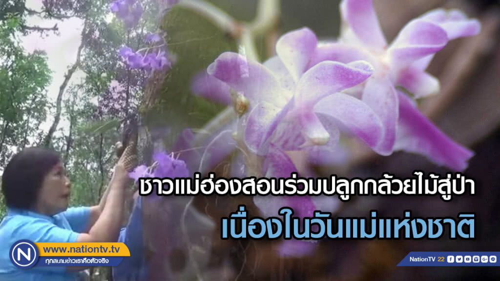 ชาวแม่ฮ่องสอนร่วมปลูกกล้วยไม้สู่ป่าเนื่องในวันแม่แห่งชาติ