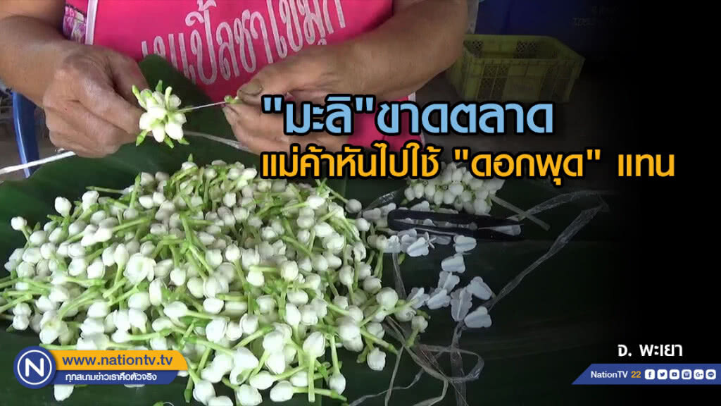 "มะลิ"ขาดตลาด  แม่ค้าหันไปใช้ "ดอกพุด" แทน