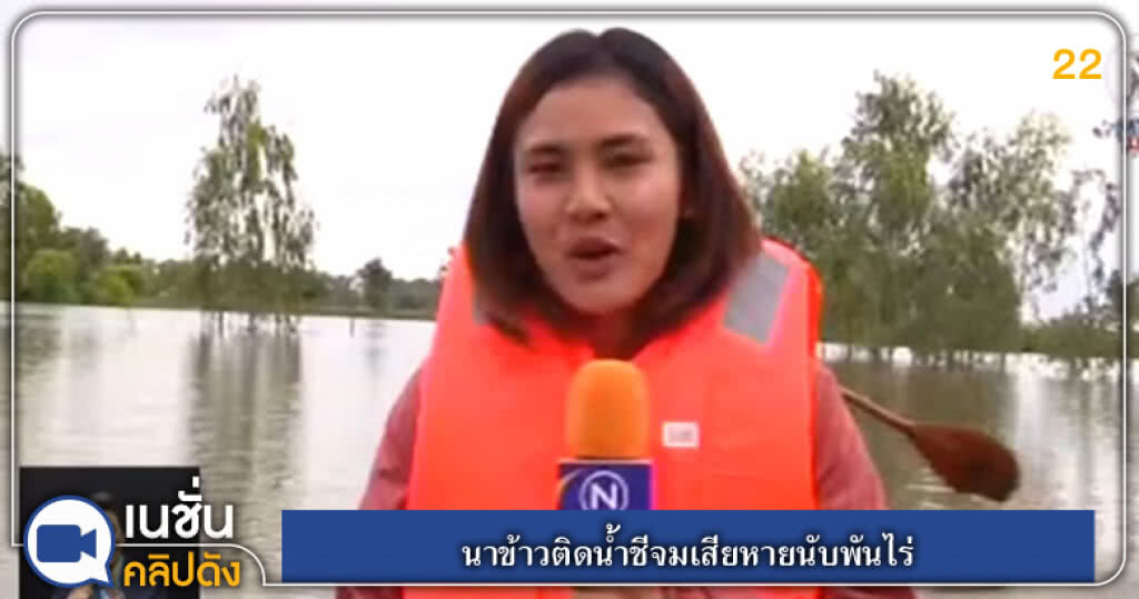 (คลิปข่าว) นาข้าวติดน้ำชีจมเสียหายนับพันไร่ (คลิปข่าว) นาข้าวติดน้ำชีจมเสียหายนับพันไร่