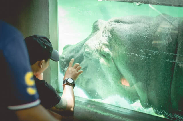 "สวนสัตว์ดุสิต" ยันปิดแน่! เตรียมย้ายไปที่ใหม่