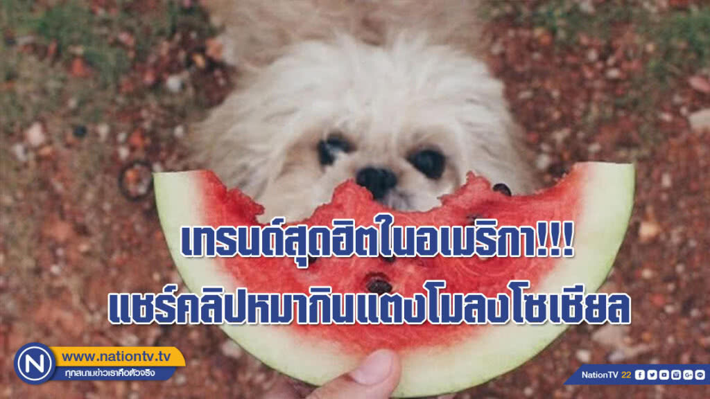 เทรนด์สุดฮิตในอเมริกา!!! แชร์คลิปหมากินแตงโมลงโซเชียล