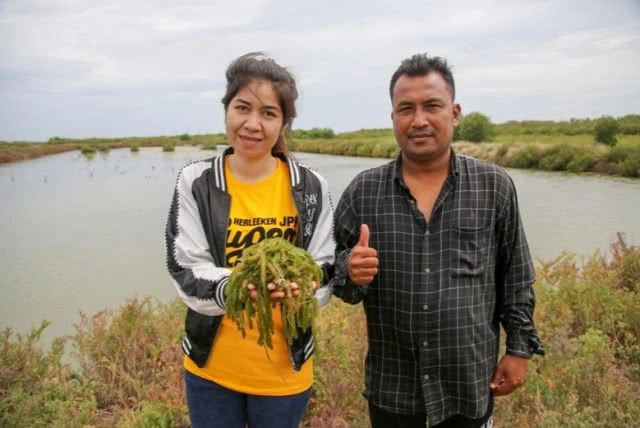 "ฟาร์มทะเลตัวอย่าง" ตามพระราชดำริสมเด็จพระบรมราชินีนาถ