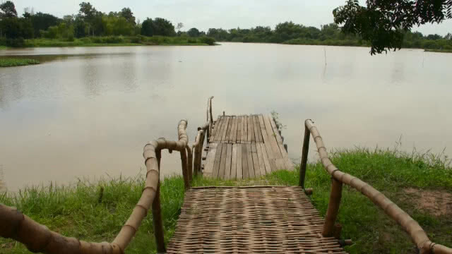 แหล่งท่องเที่ยวใหม่ในโคราช!! ไทรงามต้นเดียว แผ่กิ่งคลุมพื้นที่ 2 ไร่