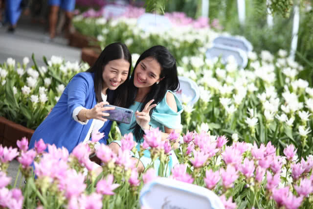 "ปทุมมาราชินีป่าฝน" ครั้งที่ ๒ เทิดพระเกียรติสมเด็จพระนางเจ้าฯ พระบรมราชินีนาถ ในรัชกาลที่ ๙