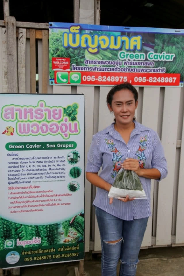 "ฟาร์มทะเลตัวอย่าง" ตามพระราชดำริสมเด็จพระบรมราชินีนาถ