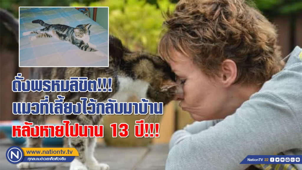 ดั่งพรหมลิขิต!!! เจ้าของสุดปลื้ม แมวที่เลี้ยงไว้กลับมาบ้าน หลังหายไปนาน 13 ปี!!!