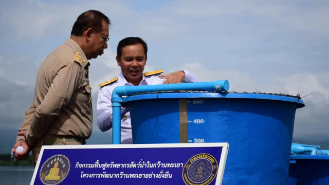 ผู้ว่าราชการจังหวัดพะเยา ปลูกต้นรวงผึ้ง เฉลิมพระเกียรติฯ