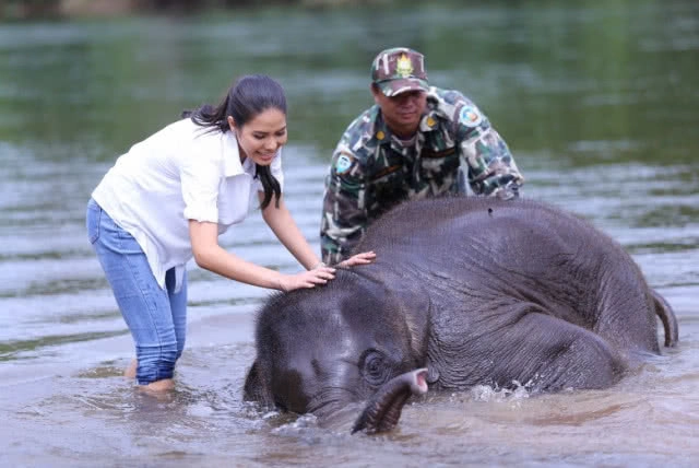  "ป่ารักษ์ช้าง" ละครเทิดพระเกียรติวันแม่