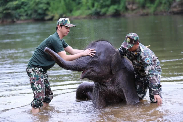  "ป่ารักษ์ช้าง" ละครเทิดพระเกียรติวันแม่