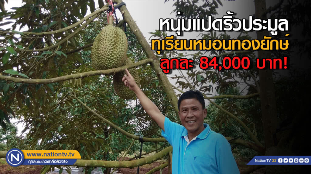 หนุ่มแปดริ้วประมูลทุเรียนหมอนทองยักษ์ลูกละ 84,000 บาท! หนุ่มแปดริ้วประมูลทุเรียนหมอนทองยักษ์ลูกละ 84,000 บาท!