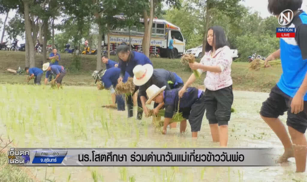 (คลิปข่าว) นักเรียนโสต ร่วมดำนาวันแม่ เกี่ยวข้าววันพ่อ (คลิปข่าว) นักเรียนโสต ร่วมดำนาวันแม่ เกี่ยวข้าววันพ่อ
