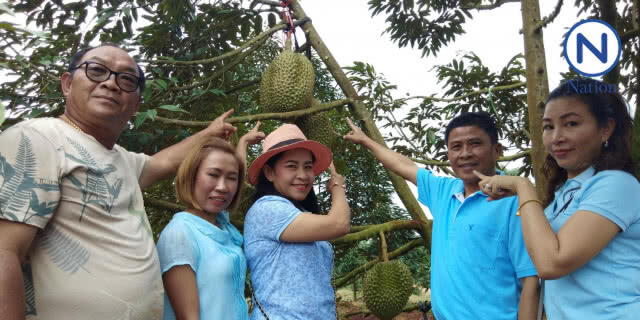 หนุ่มแปดริ้วประมูลทุเรียนหมอนทองยักษ์ลูกละ 84,000 บาท!