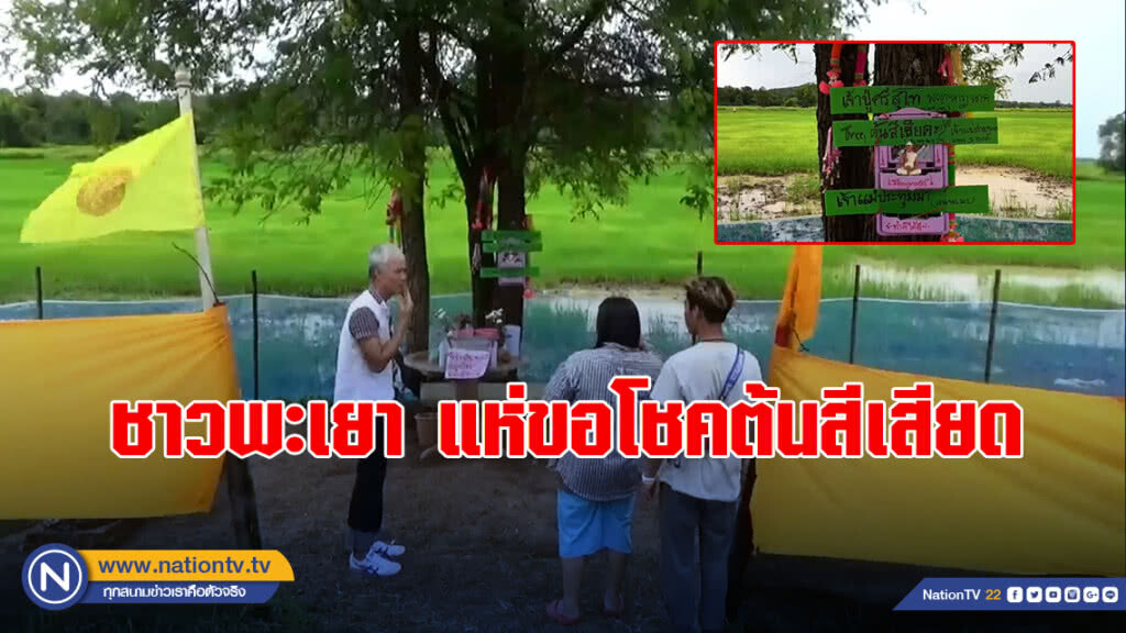 ชาวพะเยา แห่ขอโชคต้นสีเสียด