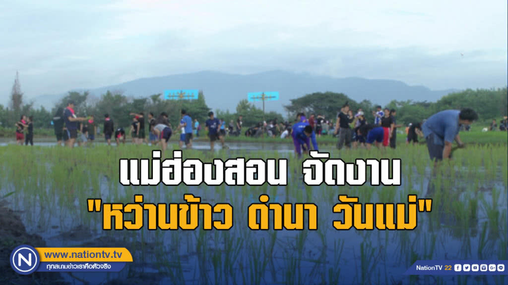 แม่ฮ่องสอนจัดงาน "หว่านข้าว ดำนา วันแม่"