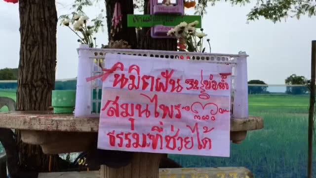 ชาวพะเยา แห่ขอโชคต้นสีเสียด