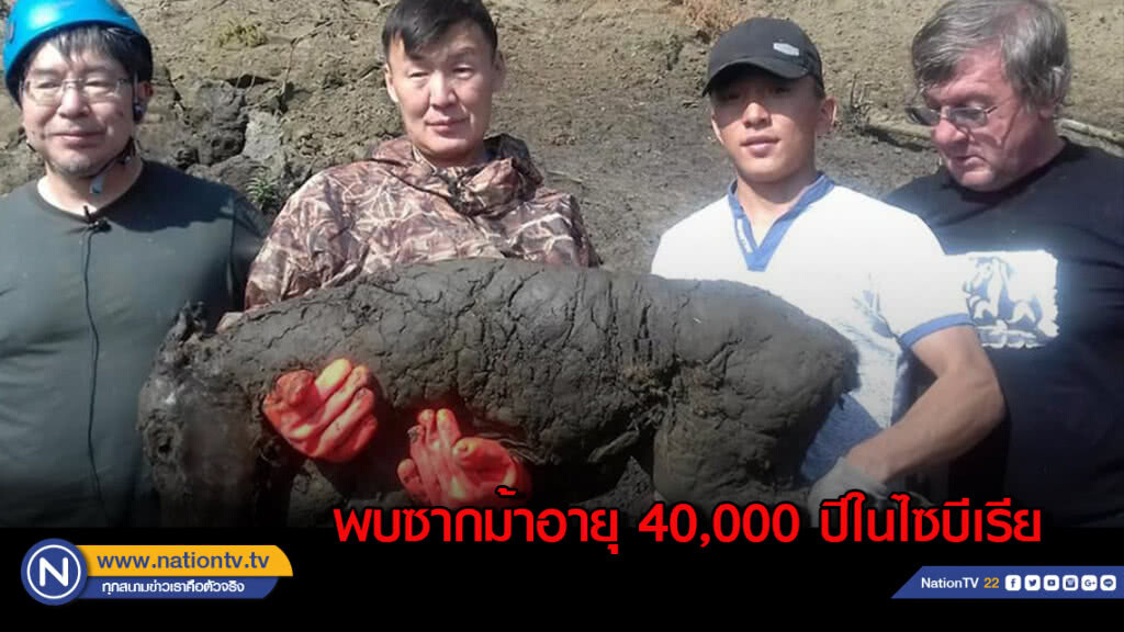 พบซากม้าอายุ 40,000 ปีในไซบีเรีย พบซากม้าอายุ 40,000 ปีในไซบีเรีย