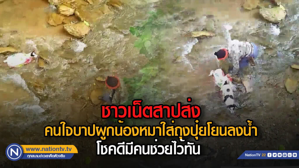 (คลิป) ชาวเน็ตสาปส่ง....คนใจบาปผูกน้องหมาใส่ถุงปุ๋ยโยนลงน้ำโชคดีมีคนช่วยไว้ทัน (คลิป) ชาวเน็ตสาปส่ง....คนใจบาปผูกน้องหมาใส่ถุงปุ๋ยโยนลงน้ำโชคดีมีคนช่วยไว้ทัน