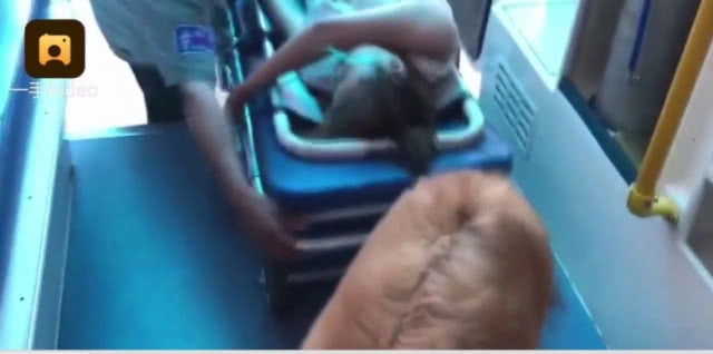 เจ้าของวูบหมดสติแต่น้องหมาไม่ยอมห่างจนรพ.ยอมให้เฝ้า