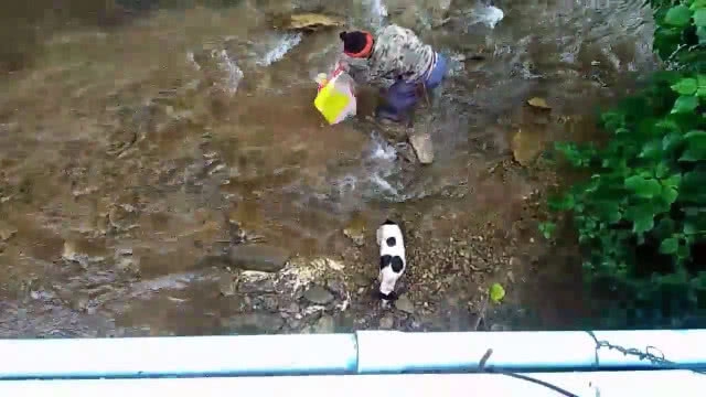 (คลิป) ชาวเน็ตสาปส่ง....คนใจบาปผูกน้องหมาใส่ถุงปุ๋ยโยนลงน้ำโชคดีมีคนช่วยไว้ทัน