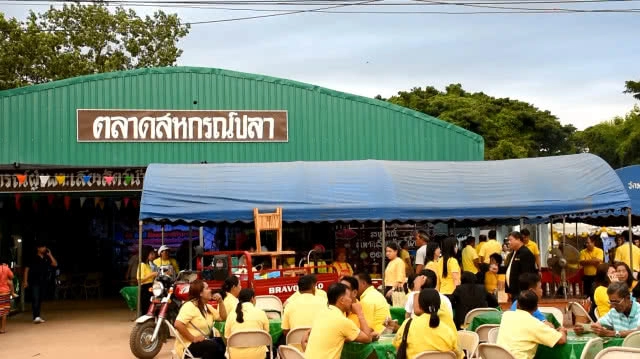 จัดแข่งขันกินปลาเผา เทศกาลกินปลา ราชาแห่งโปรตีน