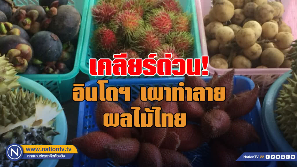 "กฤษฏา" สั่งเคลียร์ด่วน! อินโดฯเผาทำลายผลไม้ไทย "กฤษฏา" สั่งเคลียร์ด่วน! อินโดฯเผาทำลายผลไม้ไทย