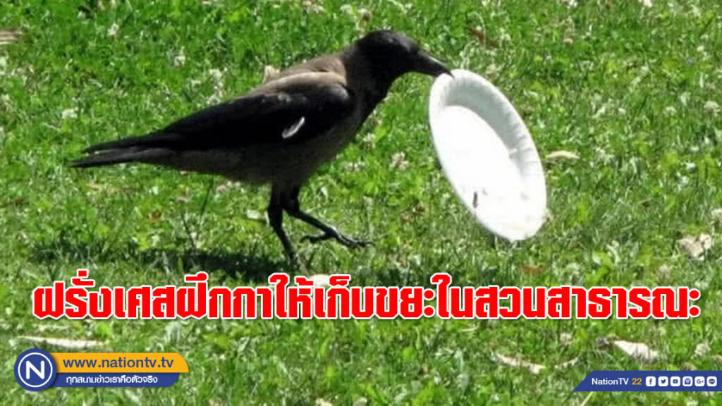 แจ่มมาก!!! ฝรั่งเศสผุดโครงการฝึกกาให้เก็บขยะในสวนสาธารณะ แจ่มมาก!!! ฝรั่งเศสผุดโครงการฝึกกาให้เก็บขยะในสวนสาธารณะ