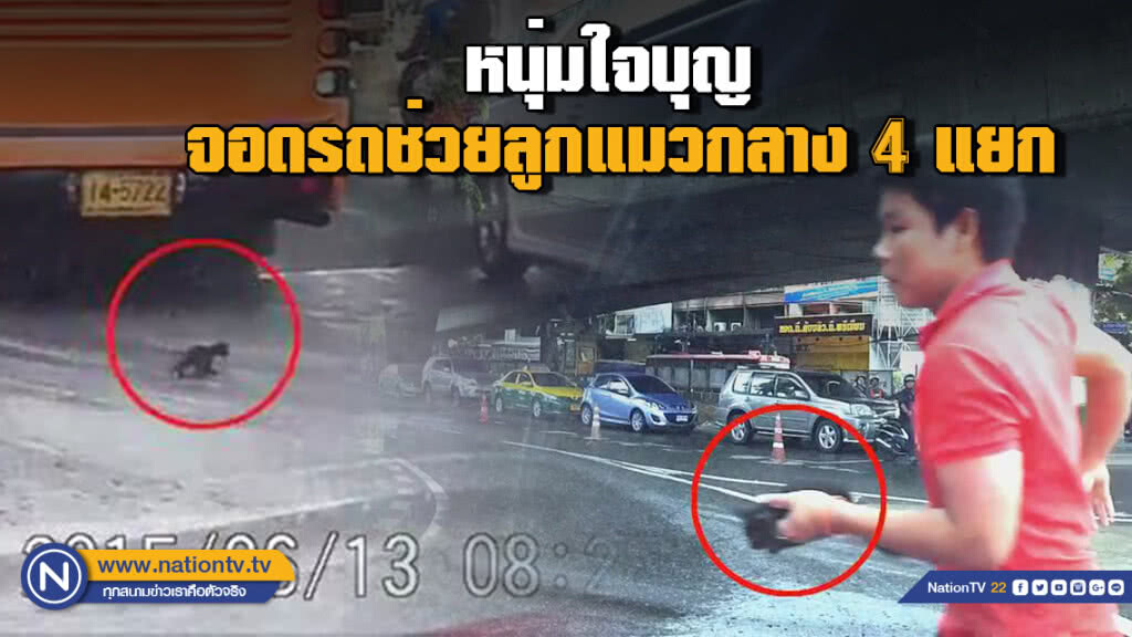 (คลิป) หนุ่มใจบุญ จอดรถช่วยลูกแมวกลาง 4 แยก