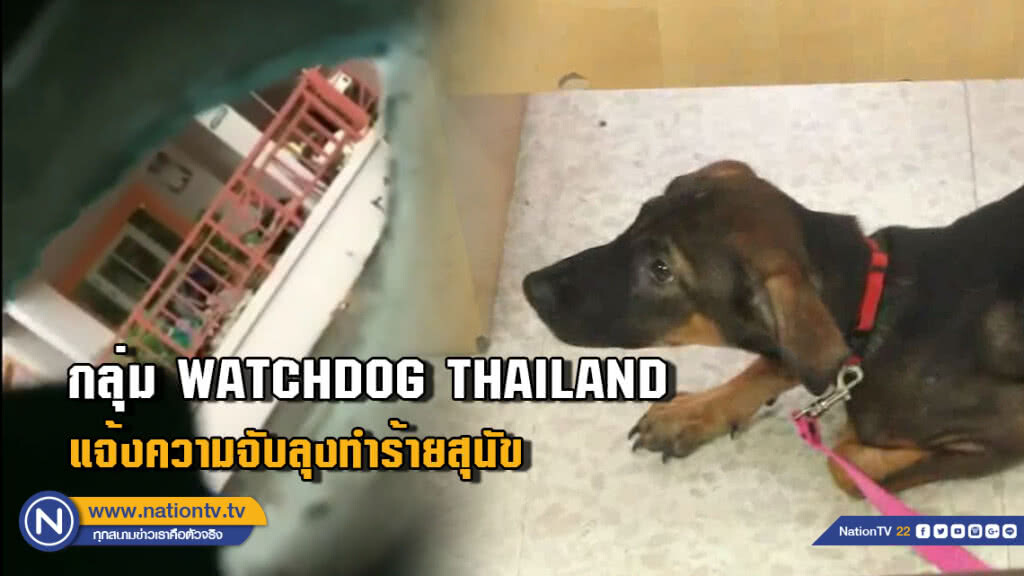 กลุ่ม WATCHDOG THAILAND แจ้งความจับลุงทำร้ายสุนัข