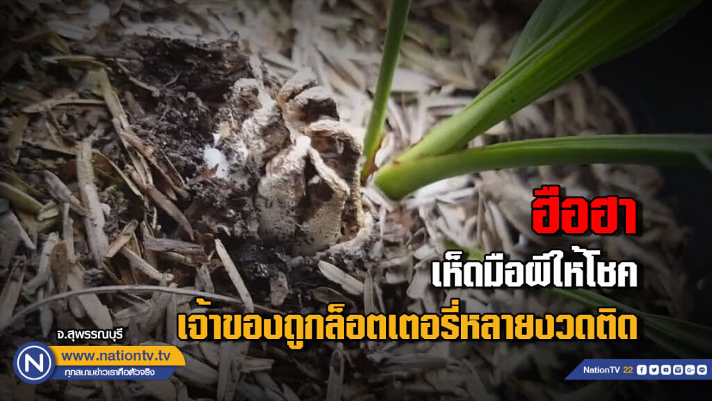 ฮือฮา!! เห็ดมือผีให้โชค....เจ้าของถูกล็อตเตอรี่หลายงวดติด ฮือฮา!! เห็ดมือผีให้โชค....เจ้าของถูกล็อตเตอรี่หลายงวดติด