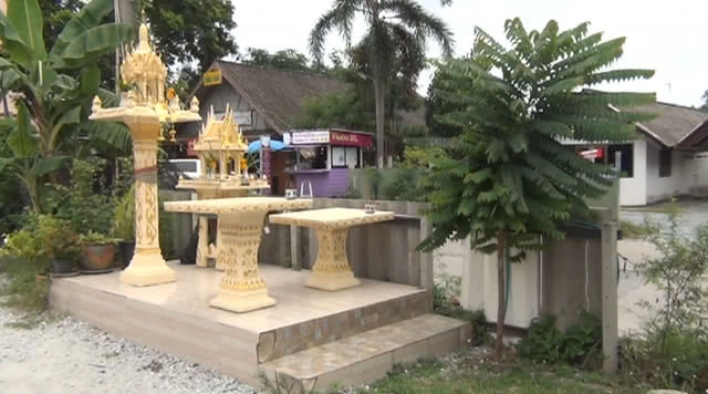 มะยมออกลูกเดี่ยวปลายใบ เชื่อเป็นมงคลอาจให้โชคลาภ