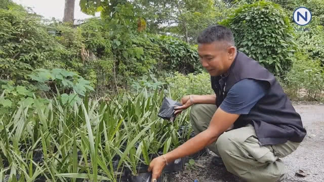 ฮือฮา!! เห็ดมือผีให้โชค....เจ้าของถูกล็อตเตอรี่หลายงวดติด