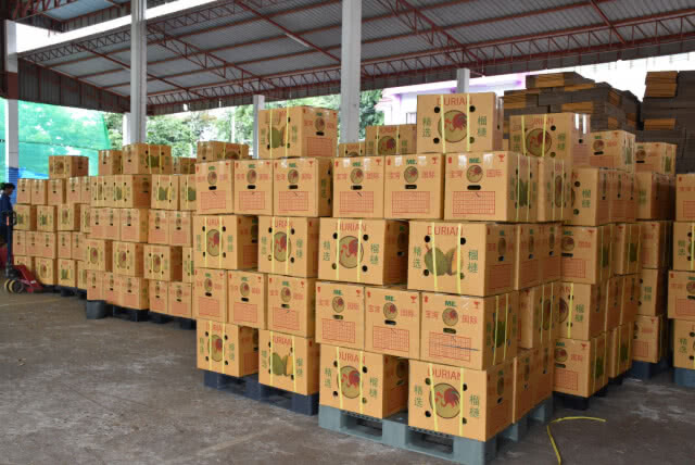 "ล้งจีน"บุกซื้อทุเรียนหมอนทองลับแล วันละ 60 ตัน คาดเงินสะพัดพันล้าน