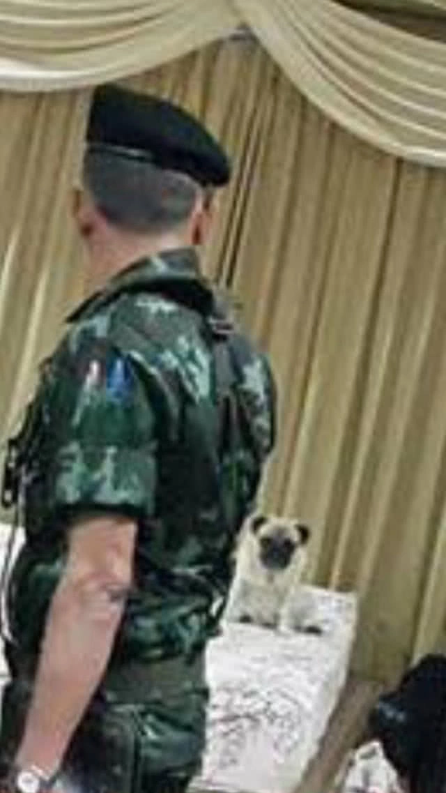 ทุกเหตุการณ์ "เสกโลโซ" ต้องมี?