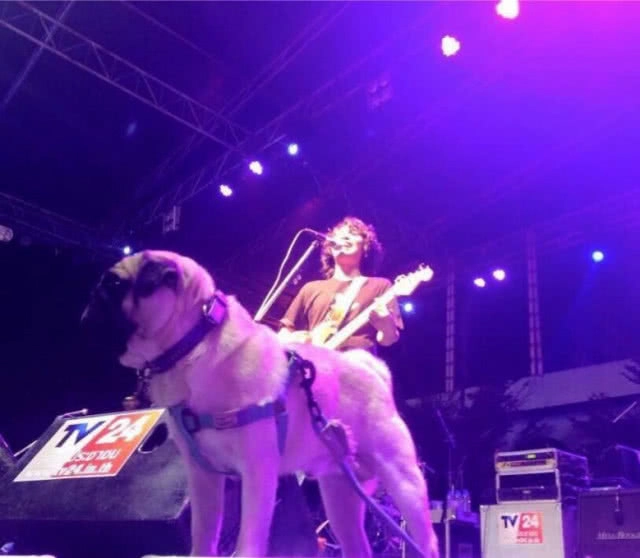 ทุกเหตุการณ์ "เสกโลโซ" ต้องมี?