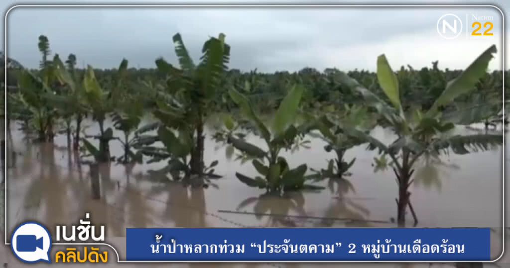 (คลิปข่าว) น้ำป่าหลากท่วม "ประจันตคาม" 2 หมู่บ้านเดือดร้อน (คลิปข่าว) น้ำป่าหลากท่วม "ประจันตคาม" 2 หมู่บ้านเดือดร้อน