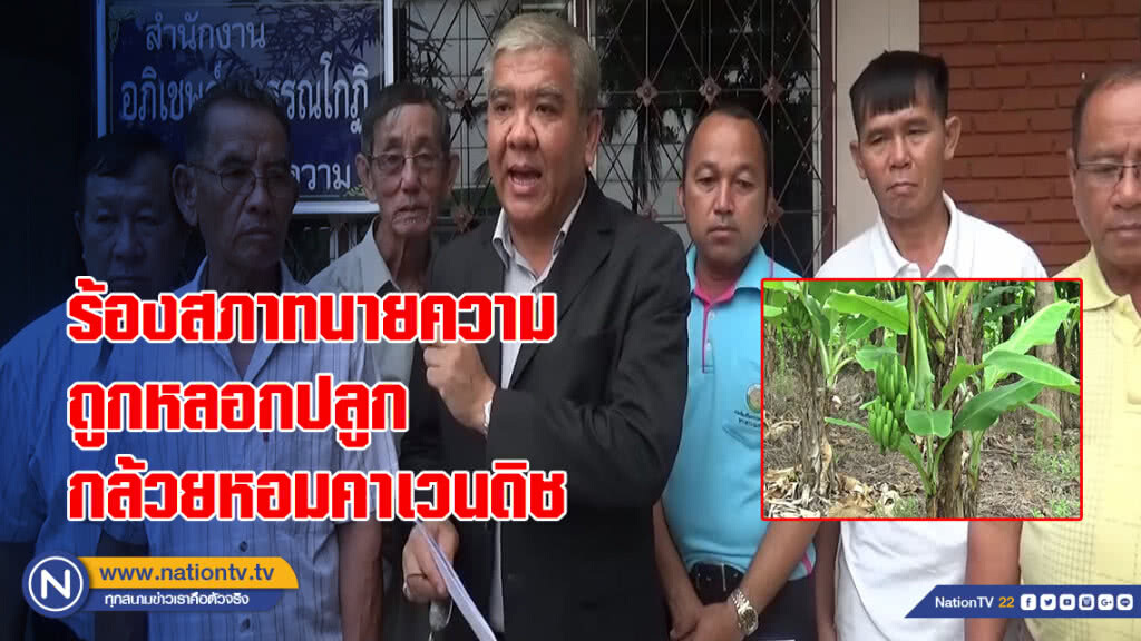 ร้องสภาทนายความถูกหลอกปลูกกล้วยหอมคาเวนดิช